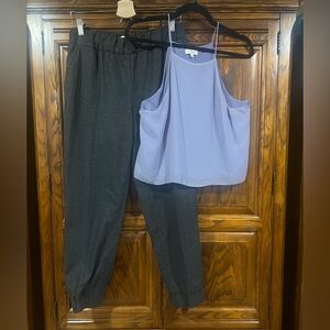 Wilfred grey cashmere blend pants/wilfred silk mauve cami medium